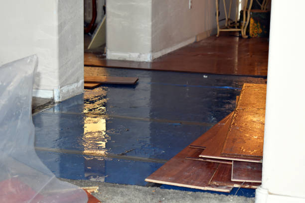 Professional Sewage Cleanup technician working in Spanaway, WA